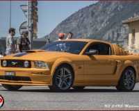 TSR Watermark - 0654